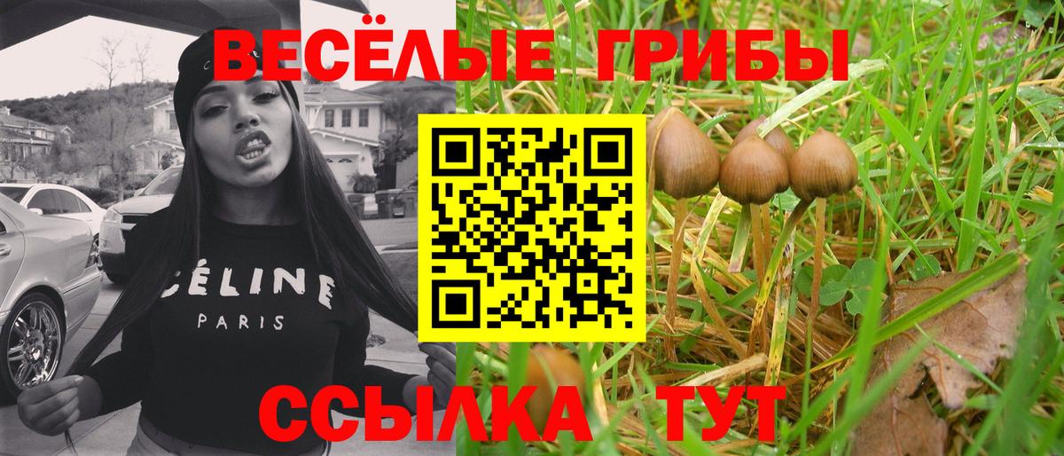 Псков  Псилоцибиновые грибы Cubensis  Вход с VPN 