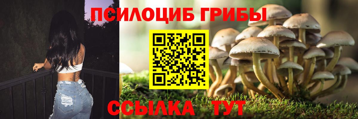 Псилоцибиновые грибы мицелий Псков